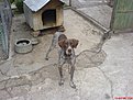 Натиснете снимката за да я уголемите

Име:DSC00982.jpg
Прегледи:328
Размер:163.7 КБ
ID:5130213