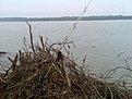 Натиснете снимката за да я уголемите

Име:Изображ.009.jpg
Прегледи:235
Размер:155.5 КБ
ID:5130432