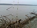 Натиснете снимката за да я уголемите

Име:Изображ.010.jpg
Прегледи:232
Размер:144.5 КБ
ID:5130433