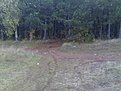 Натиснете снимката за да я уголемите

Име:Pic 026.jpg
Прегледи:127
Размер:137.8 КБ
ID:5131221