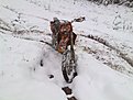 Натиснете снимката за да я уголемите

Име:01112009109.jpg
Прегледи:178
Размер:141.8 КБ
ID:5132254