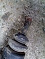 Натиснете снимката за да я уголемите

Име:31102009431.jpg
Прегледи:138
Размер:57.8 КБ
ID:5134235