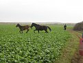 Натиснете снимката за да я уголемите

Име:323.jpg
Прегледи:205
Размер:129.8 КБ
ID:5134626