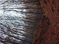 Натиснете снимката за да я уголемите

Име:Picture 006.jpg
Прегледи:276
Размер:190.6 КБ
ID:5134634