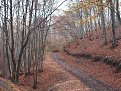 Натиснете снимката за да я уголемите

Име:Picture 011.jpg
Прегледи:268
Размер:189.0 КБ
ID:5134639