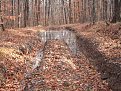 Натиснете снимката за да я уголемите

Име:Picture 020.jpg
Прегледи:248
Размер:211.6 КБ
ID:5134647