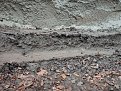 Натиснете снимката за да я уголемите

Име:Picture 073.jpg
Прегледи:262
Размер:174.5 КБ
ID:5134700