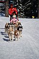 Натиснете снимката за да я уголемите

Име:DSCхъски.jpg
Прегледи:305
Размер:73.6 КБ
ID:5135662