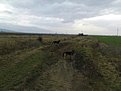 Натиснете снимката за да я уголемите

Име:DSC00653.jpg
Прегледи:232
Размер:113.5 КБ
ID:5135717
