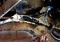 Натиснете снимката за да я уголемите

Име:7.jpg
Прегледи:310
Размер:167.6 КБ
ID:5135913