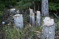 Натиснете снимката за да я уголемите

Име:G.Beglik - 14.11.09 093.jpg
Прегледи:185
Размер:484.4 КБ
ID:5135931
