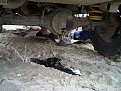 Натиснете снимката за да я уголемите

Име:DCP10393.jpg
Прегледи:145
Размер:174.6 КБ
ID:5136017
