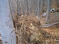 Натиснете снимката за да я уголемите

Име:DCP10407.jpg
Прегледи:133
Размер:229.4 КБ
ID:5136029