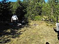 Натиснете снимката за да я уголемите

Име:Picture 044.jpg
Прегледи:337
Размер:193.1 КБ
ID:5137475
