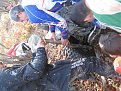 Натиснете снимката за да я уголемите

Име:IMG_3117.jpg
Прегледи:286
Размер:181.6 КБ
ID:5137769
