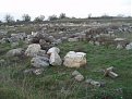 Натиснете снимката за да я уголемите

Име:PB080060.jpg
Прегледи:501
Размер:265.2 КБ
ID:5137887