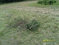 Натиснете снимката за да я уголемите

Име:SN200449.jpg
Прегледи:187
Размер:265.6 КБ
ID:5137977