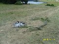 Натиснете снимката за да я уголемите

Име:SN200450.jpg
Прегледи:186
Размер:232.7 КБ
ID:5137978