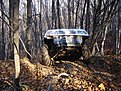 Натиснете снимката за да я уголемите

Име:DSC06244.jpg
Прегледи:330
Размер:284.4 КБ
ID:5138452