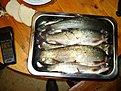 Натиснете снимката за да я уголемите

Име:DSC00761.jpg
Прегледи:205
Размер:183.7 КБ
ID:5138794