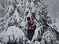 Натиснете снимката за да я уголемите

Име:DSC07884.JPG
Прегледи:173
Размер:154.0 КБ
ID:5141510