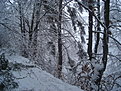 Натиснете снимката за да я уголемите

Име:DSC07902.JPG
Прегледи:159
Размер:147.6 КБ
ID:5141524