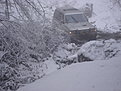 Натиснете снимката за да я уголемите

Име:DSC07915.JPG
Прегледи:163
Размер:153.8 КБ
ID:5141532