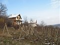 Натиснете снимката за да я уголемите

Име:Picture 192.jpg
Прегледи:110
Размер:168.3 КБ
ID:5141976