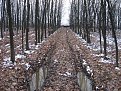 Натиснете снимката за да я уголемите

Име:Picture 246.jpg
Прегледи:106
Размер:302.0 КБ
ID:5142026