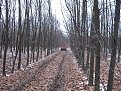 Натиснете снимката за да я уголемите

Име:Picture 256.jpg
Прегледи:105
Размер:297.8 КБ
ID:5142033