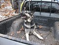 Натиснете снимката за да я уголемите

Име:Picture 260.jpg
Прегледи:114
Размер:168.5 КБ
ID:5142036