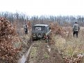 Натиснете снимката за да я уголемите

Име:Picture 275.jpg
Прегледи:108
Размер:166.9 КБ
ID:5142052