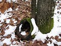 Натиснете снимката за да я уголемите

Име:Picture 338.jpg
Прегледи:157
Размер:191.9 КБ
ID:5142098