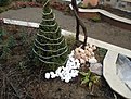 Натиснете снимката за да я уголемите

Име:DSC07835.jpg
Прегледи:217
Размер:202.2 КБ
ID:5142107