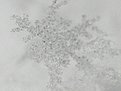 Натиснете снимката за да я уголемите

Име:sn_071.jpg
Прегледи:200
Размер:74.7 КБ
ID:5142585