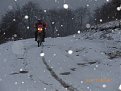 Натиснете снимката за да я уголемите

Име:IMGP5473.jpg
Прегледи:174
Размер:103.3 КБ
ID:5142716