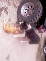 Натиснете снимката за да я уголемите

Име:12345 115.jpg
Прегледи:271
Размер:75.8 КБ
ID:5142855