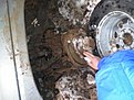 Натиснете снимката за да я уголемите

Име:PC200053.JPG
Прегледи:118
Размер:82.1 КБ
ID:5143040