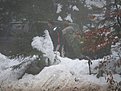 Натиснете снимката за да я уголемите

Име:PC200063.jpg
Прегледи:103
Размер:131.9 КБ
ID:5143043