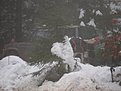 Натиснете снимката за да я уголемите

Име:PC200064.jpg
Прегледи:97
Размер:116.5 КБ
ID:5143044