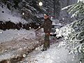 Натиснете снимката за да я уголемите

Име:PC200099.JPG
Прегледи:91
Размер:102.9 КБ
ID:5143056