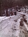 Натиснете снимката за да я уголемите

Име:1224_132634.jpg
Прегледи:169
Размер:103.6 КБ
ID:5143383