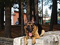 Натиснете снимката за да я уголемите

Име:DSC08196.jpg
Прегледи:182
Размер:180.9 КБ
ID:5143800
