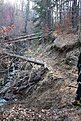 Натиснете снимката за да я уголемите

Име:_MG_7362.jpg
Прегледи:124
Размер:144.5 КБ
ID:5144028