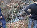 Натиснете снимката за да я уголемите

Име:PC270028.JPG
Прегледи:119
Размер:111.1 КБ
ID:5144109