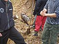 Натиснете снимката за да я уголемите

Име:PC270036.JPG
Прегледи:111
Размер:91.9 КБ
ID:5144126