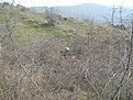 Натиснете снимката за да я уголемите

Име:Picture 008.jpg
Прегледи:170
Размер:236.1 КБ
ID:5144411