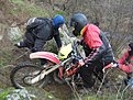 Натиснете снимката за да я уголемите

Име:Picture 030.jpg
Прегледи:170
Размер:205.8 КБ
ID:5144423