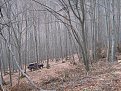 Натиснете снимката за да я уголемите

Име:IMG_6407.JPG
Прегледи:207
Размер:562.0 КБ
ID:5144753