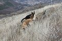 Натиснете снимката за да я уголемите

Име:Picture 014.jpg
Прегледи:207
Размер:224.8 КБ
ID:5145403